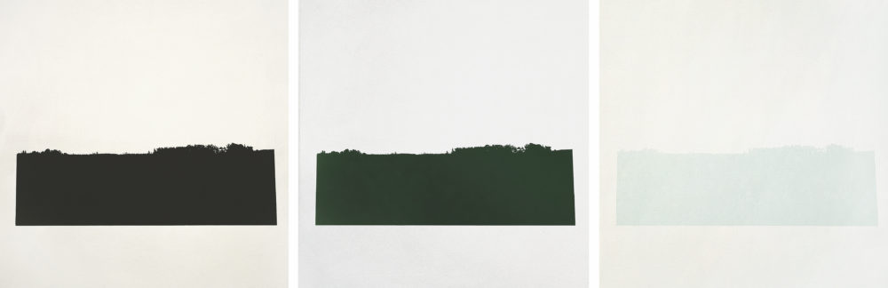 Representative, Trivial, Subjective Landscape