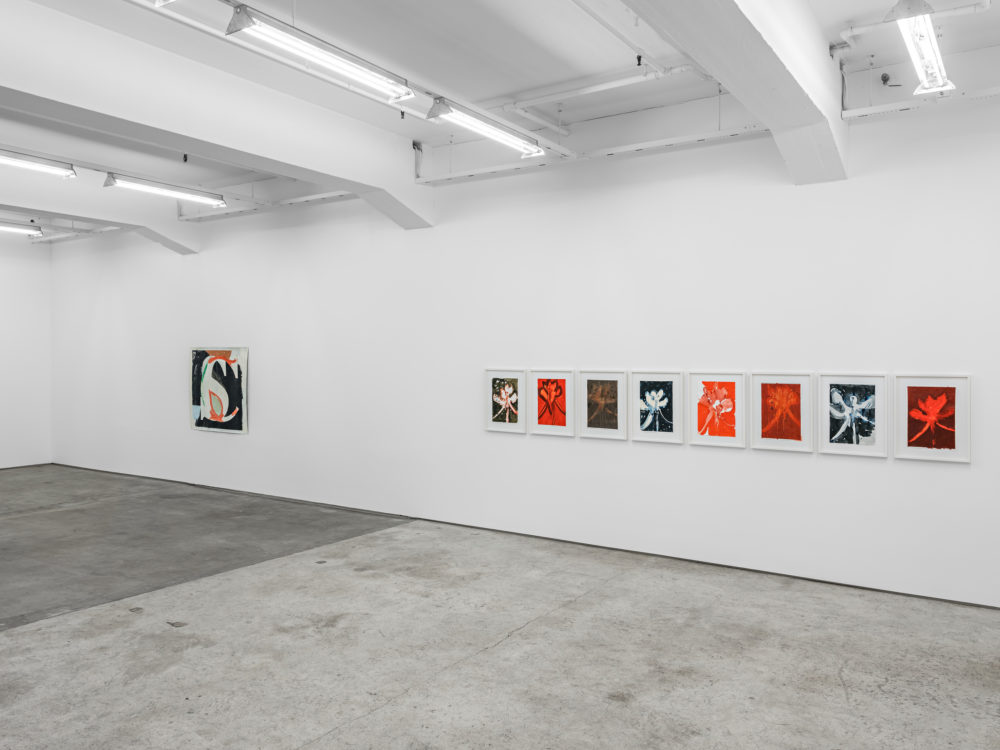 Unlike a Symbol installation view 07