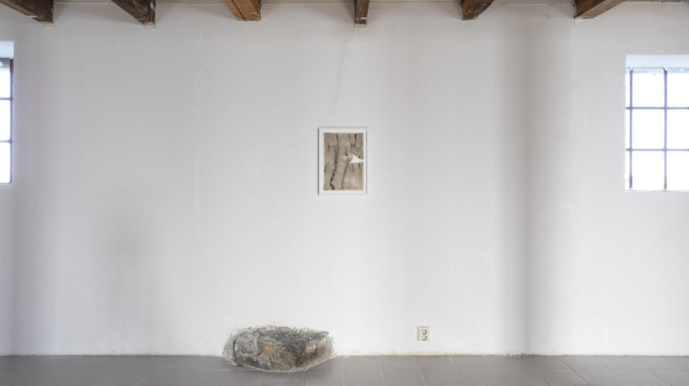 I sylv eit auga, installation view 7